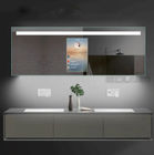 Wall Mounted Indoor Decorative Smart Mirror Display Auto Sensor LCD Screen for Washroom